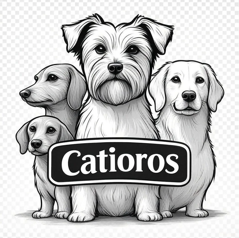 Catioros.com.br