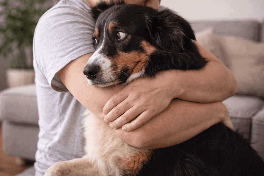 Cachorro sendo abraçado por seu dono, demonstrando afeto e cuidado.