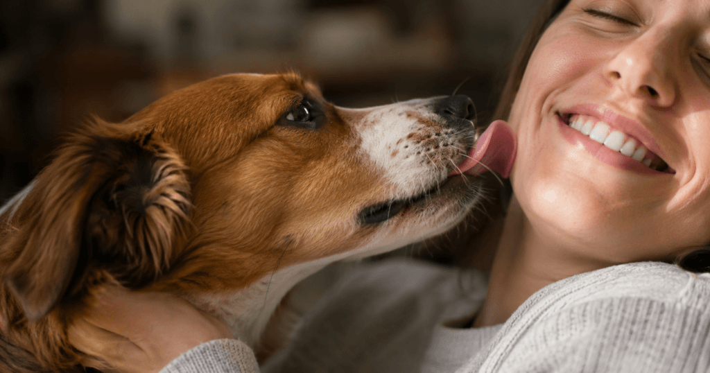 Por que os cachorros lambem?