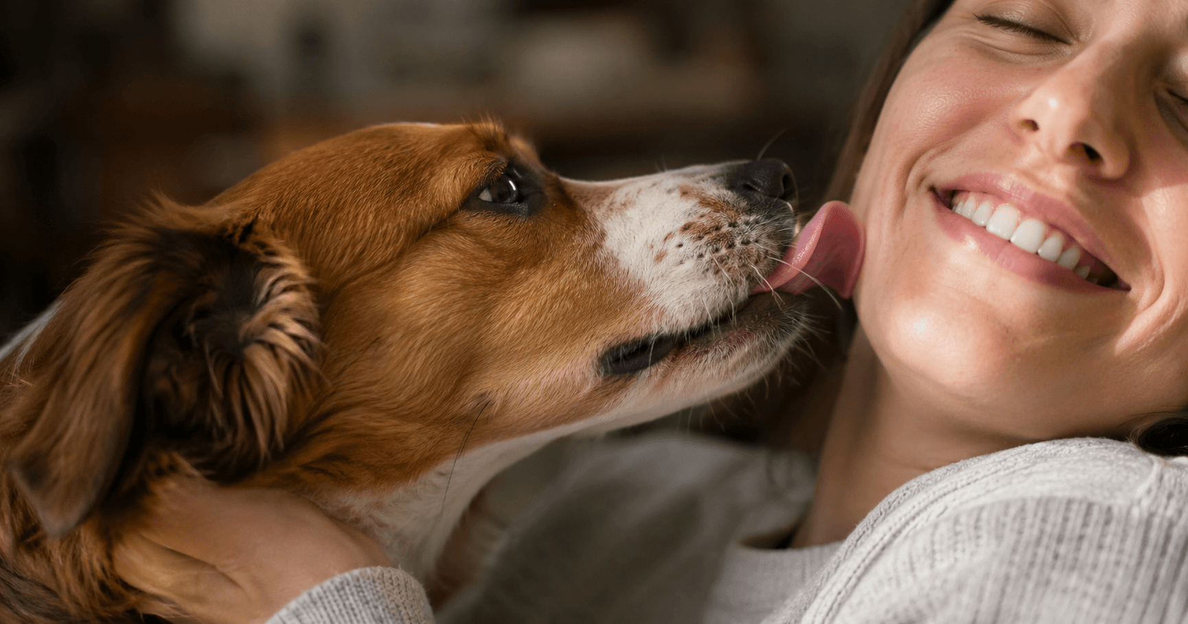 Por que os cachorros lambem?